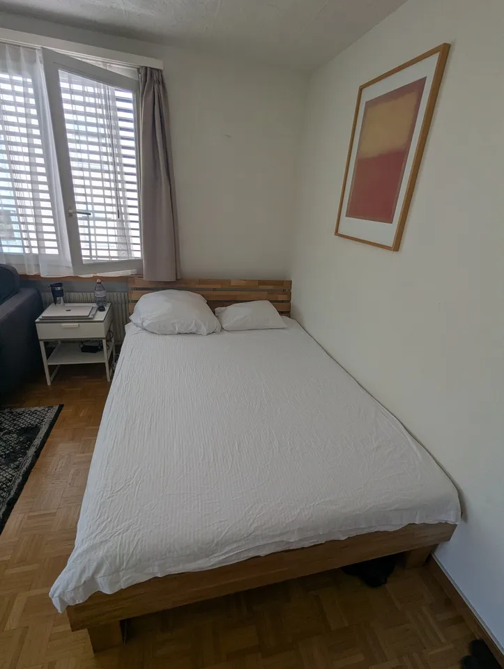 Big double bedroom with private balcony, fully furnished (Until end of January)