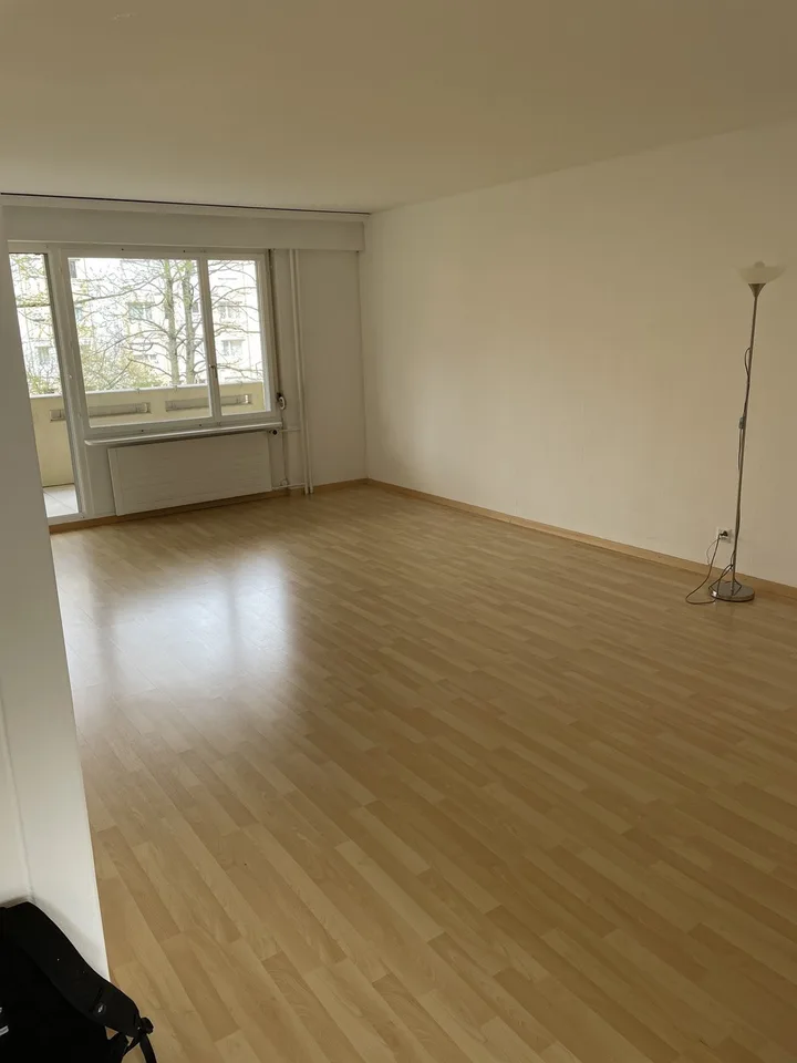 4.5-Zimmer-Wohnung familienfreundliche in Zürich-Albisrieden