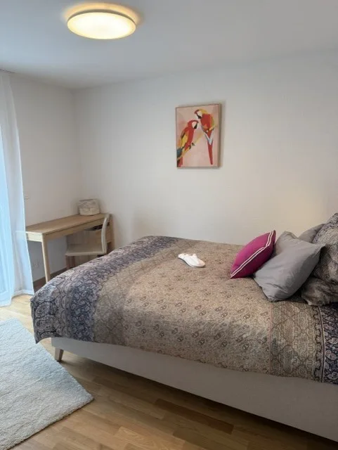 superbe chambre avec accès terrasse, colocation, appart neuf. St-Sulpice