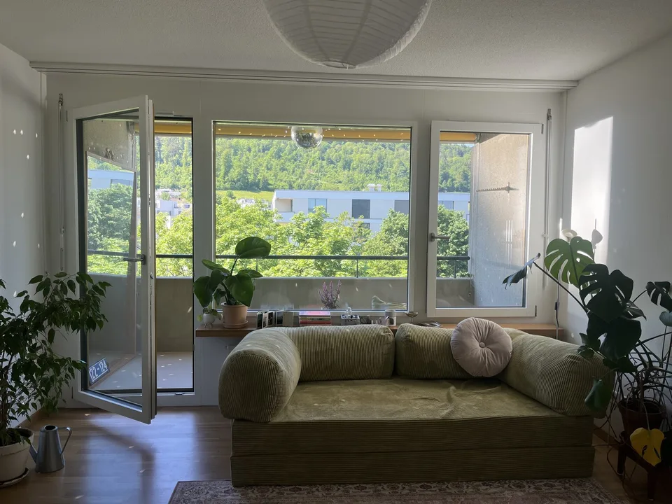 spacious 1.5 room apartment with big balcony