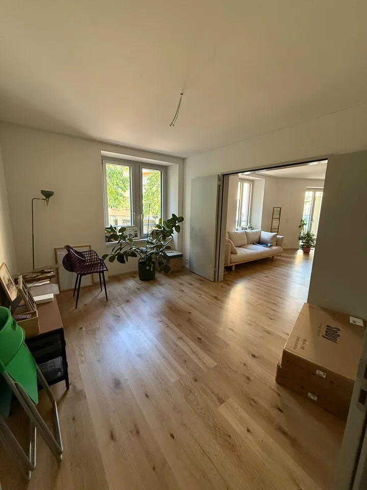 Charming 4.5 rooms apartment in the heart of Zurich Werd