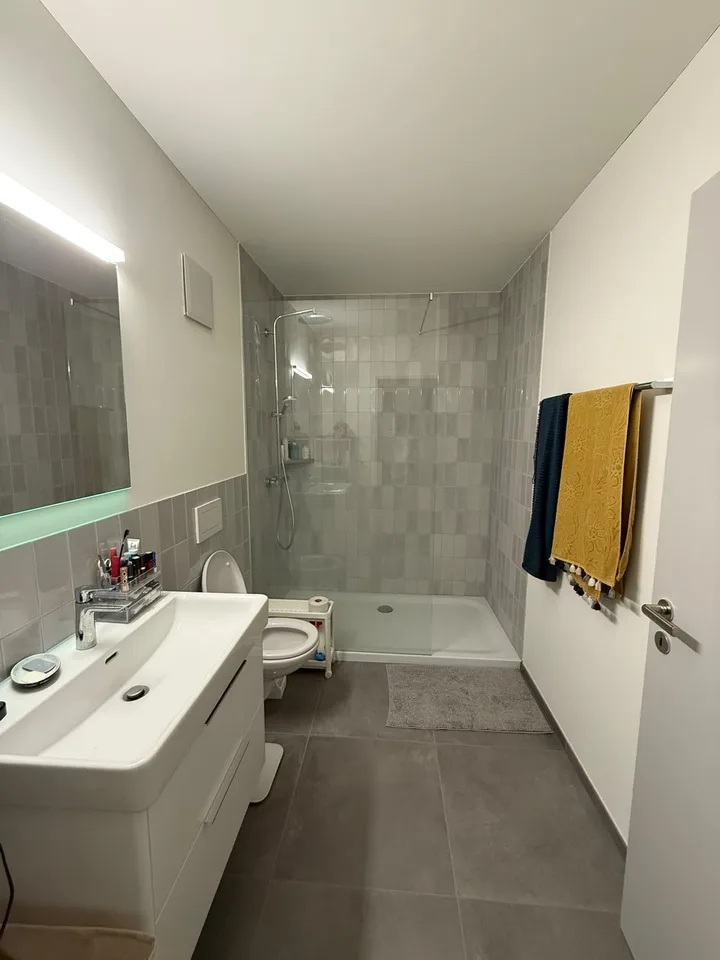 Charming 4.5 rooms apartment in the heart of Zurich Werd
