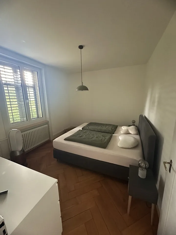 renovierte Altbauwohnung zu vermieten