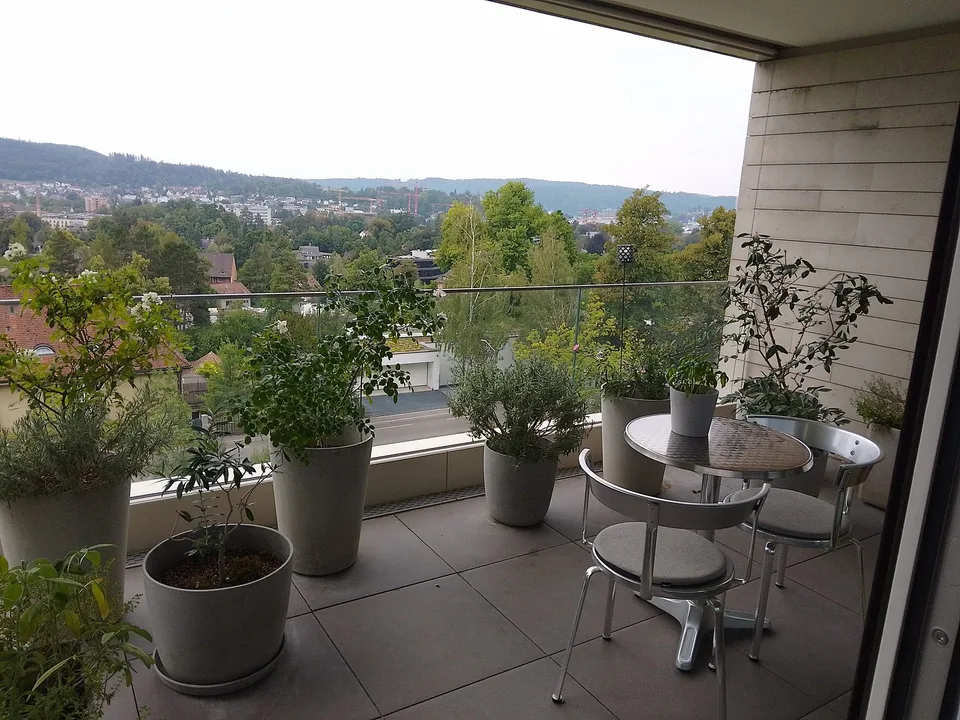 Helle, moderne 3-Zi-Whg