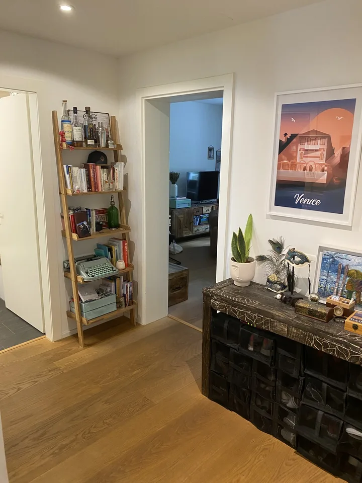 3.5 Zimmer Suterrain direkt an der Josefwiese