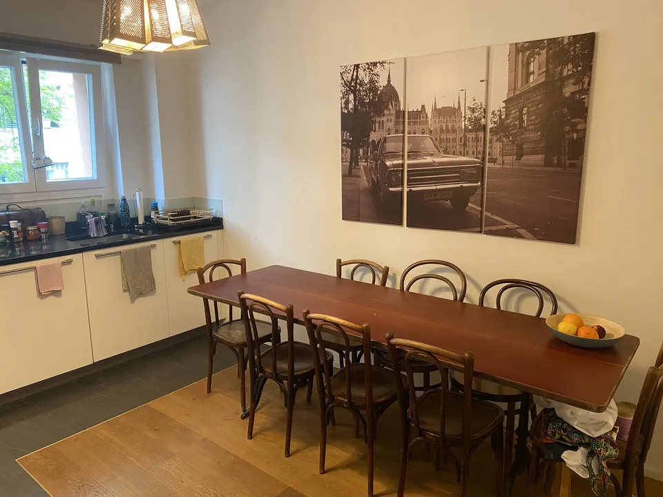 3.5 Zimmer Suterrain direkt an der Josefwiese