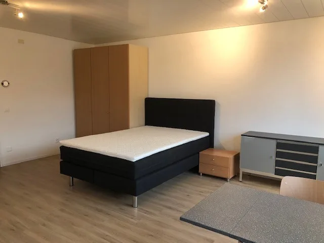 Moderne 1.5-Zimmer-Wohnung im Dorfzentrum von Wolfwil