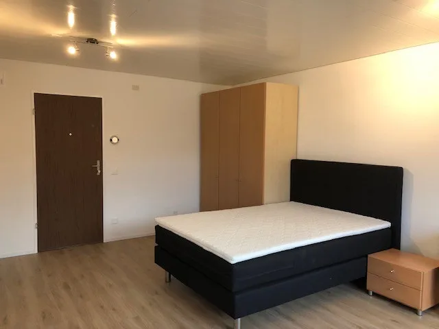 Moderne 1.5-Zimmer-Wohnung im Dorfzentrum von Wolfwil
