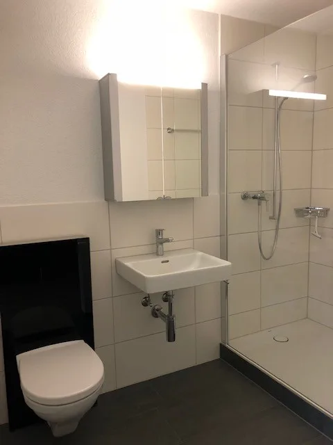 Moderne 1.5-Zimmer-Wohnung im Dorfzentrum von Wolfwil