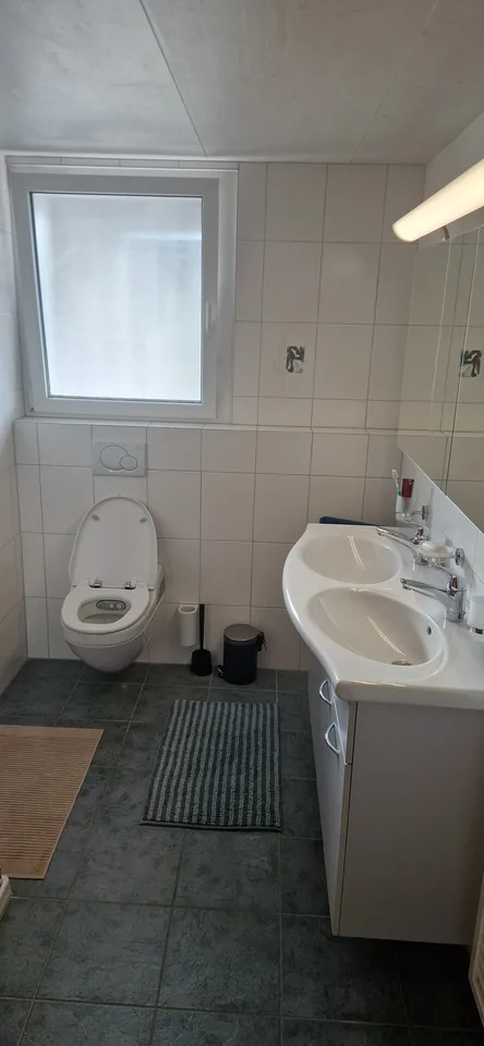 WG Zimmer in Freienbach