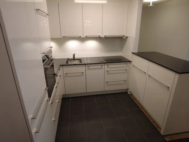 Renovated 3.5 appartement in quiet location in Zurich