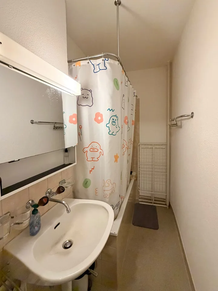 Gemütliche & sonnige 3-Zimmer-Wohnung in Wipkingen, Zürich (Sept 2026 - Sept 2027)