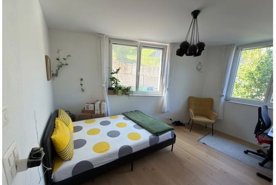 Moderne 3.5-Zimmer-Gartenwohnung mit Bürgenstock- und Talsicht ( 15-20 mins von Luzern)