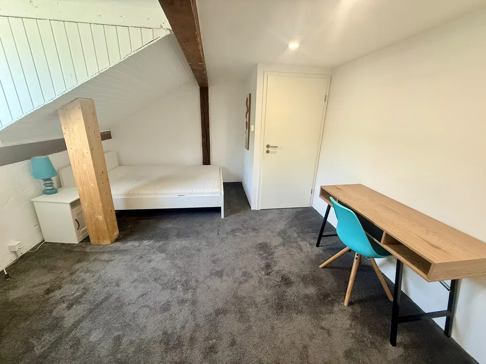 1290 versoix - CHF 950 inkl. NK pro Monat