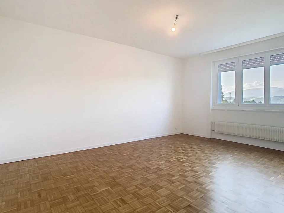 SUPERBE APPARTEMENT ENTIEREMENT RENOVE