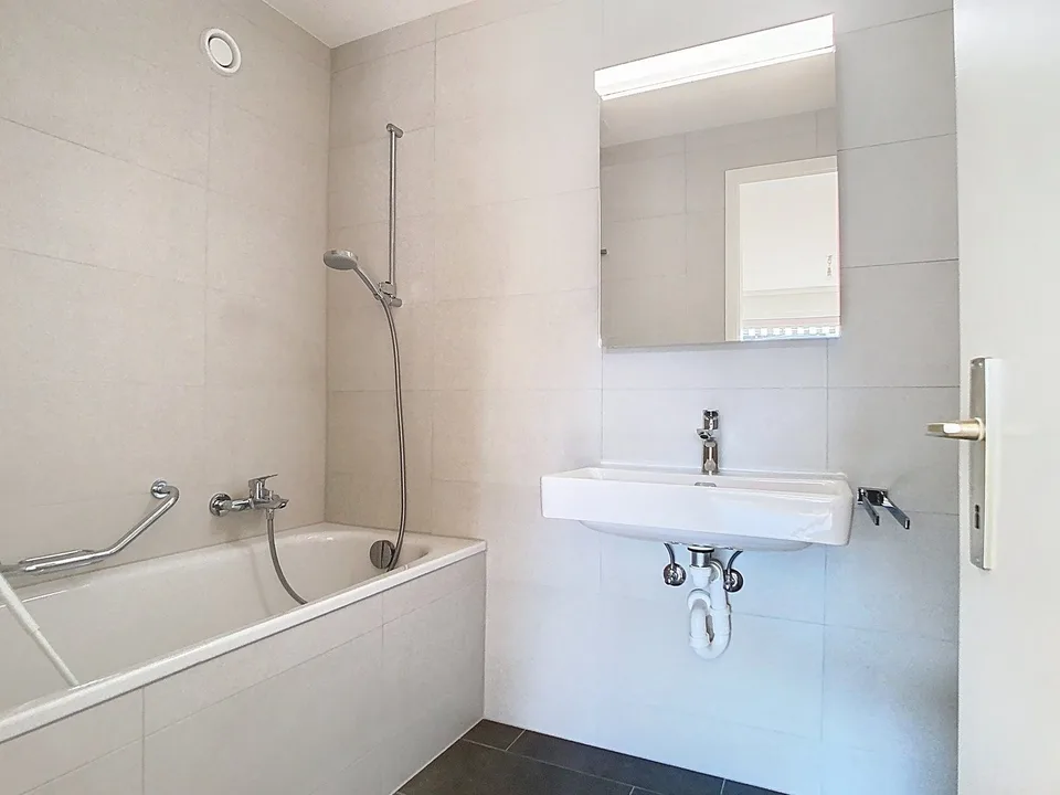 SUPERBE APPARTEMENT ENTIEREMENT RENOVE