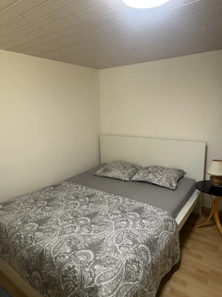 Near EPFL carefully room