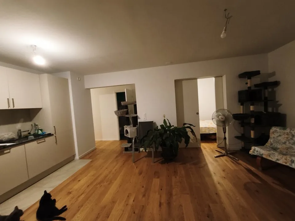 Appartement rénové à louer