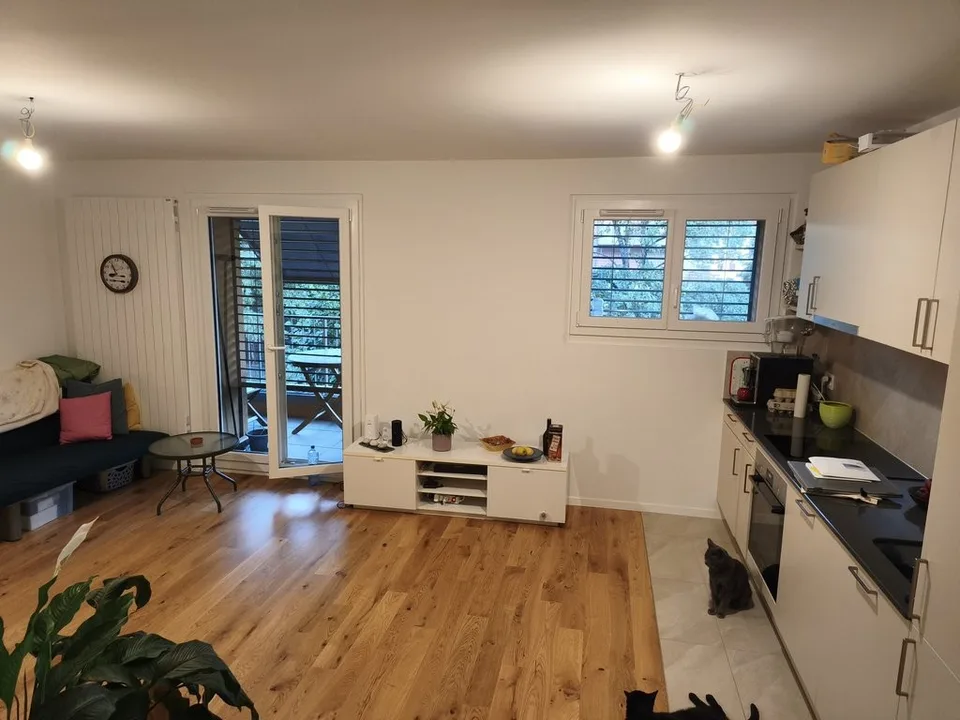 Appartement rénové à louer