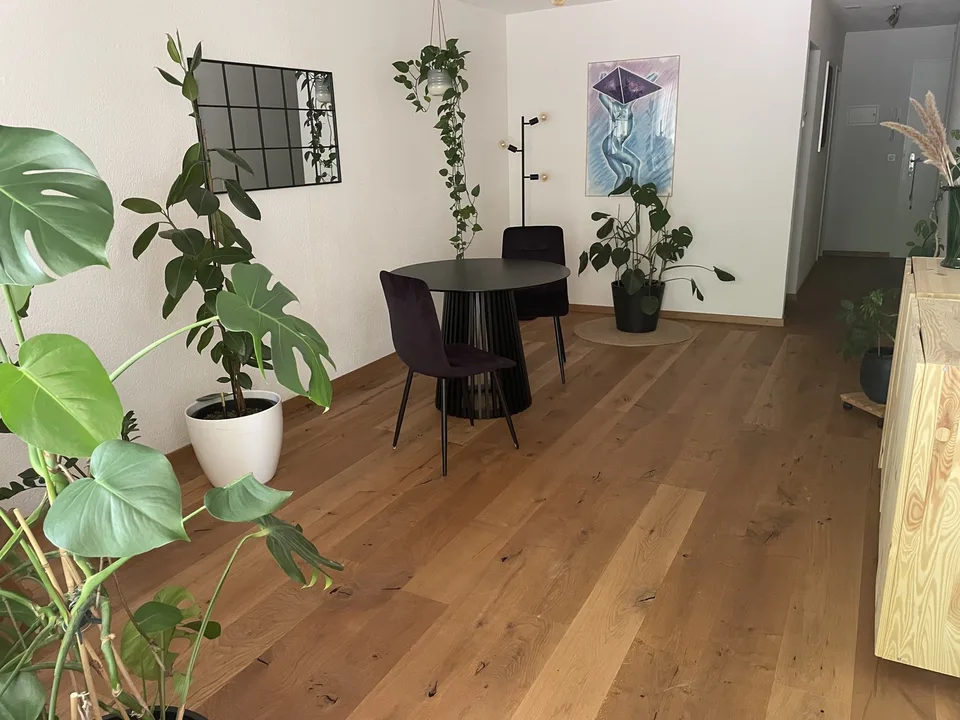 Wohnung mit grosser Terrasse im Marzili