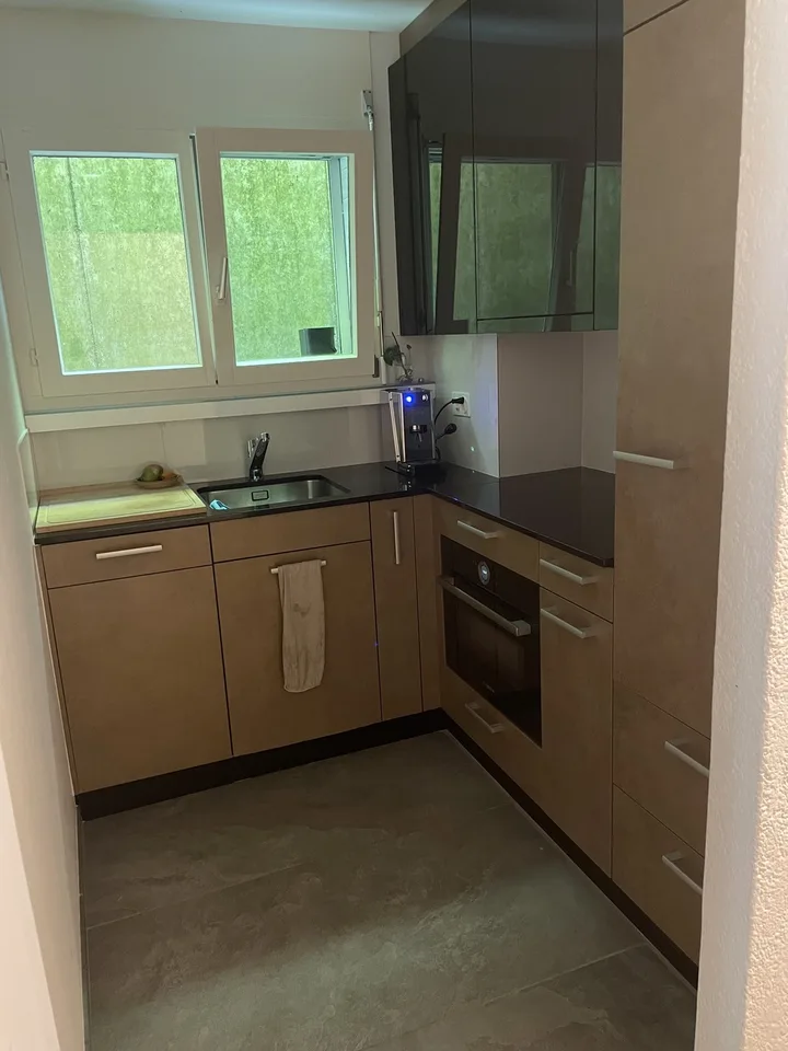 Wohnung mit grosser Terrasse im Marzili