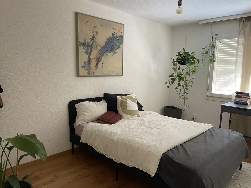 Wohnung mit grosser Terrasse im Marzili