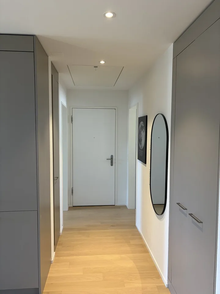 Dachwohnung In Adetswil