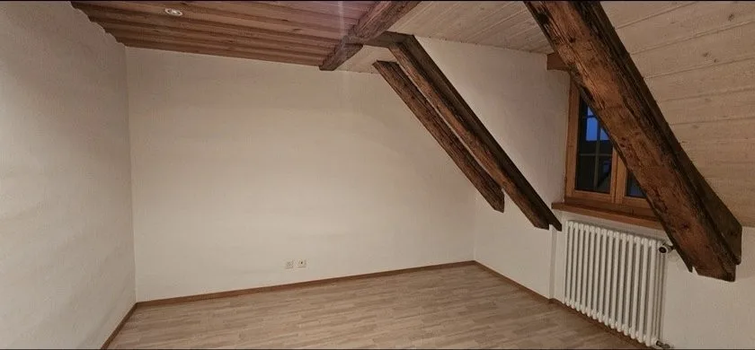 rustikale 3.5-Zimmer Wohnung mit 1 monat miete frei