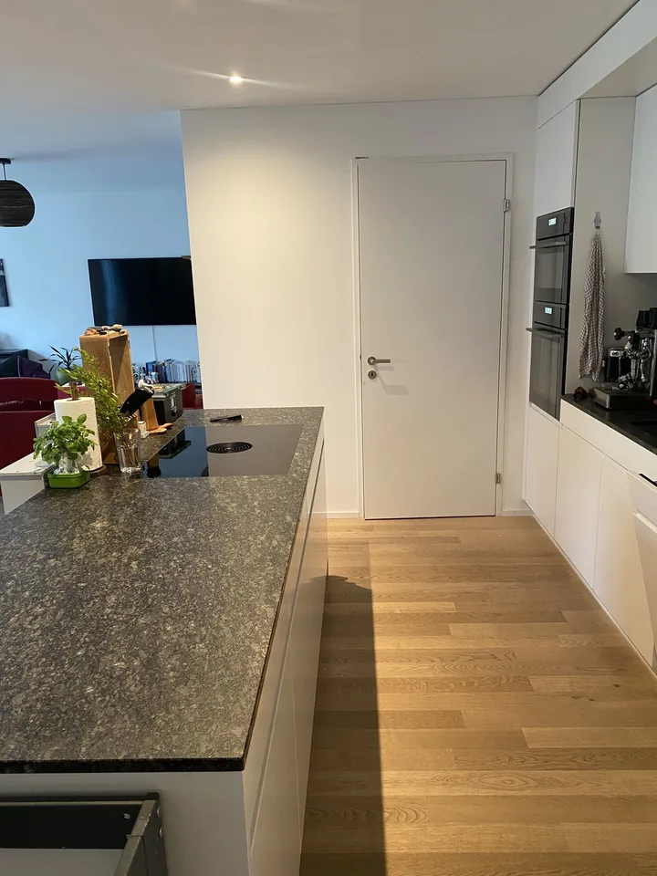 Grosszügige, luxeriöse 3.5 Zimmerwohnung im 5. OG mit Blick auf die Sihl in Zürich-Manegg