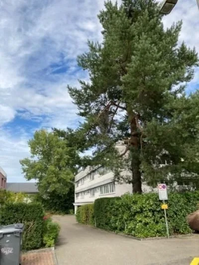 Schwamendingen Einstellplatz zu vermieten
