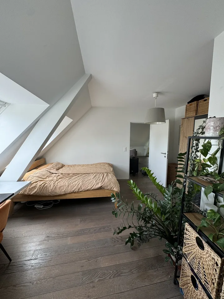 3er WG sucht neue Mitbewohnerin (w)!