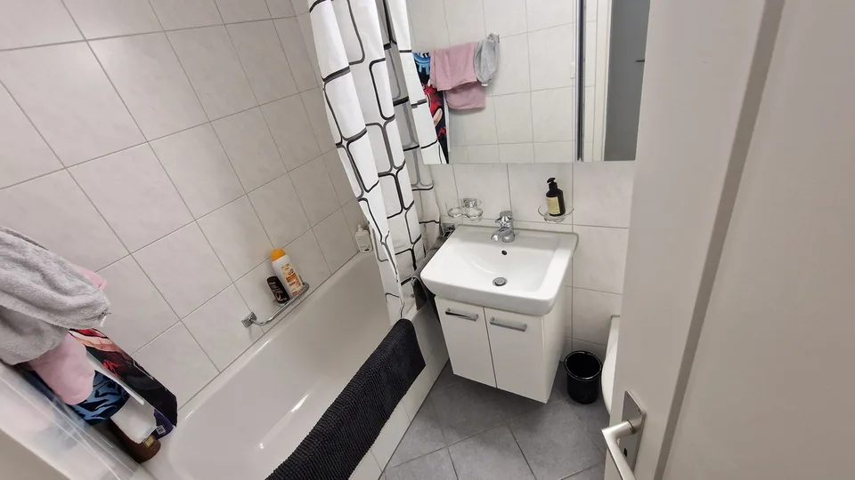 Furnished apartment Zürich Oerlikon | 17–31 August | CHF 650 total