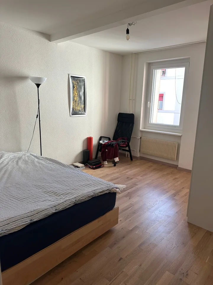 Temporary sublet of cozy flat in central location (5 weeks)