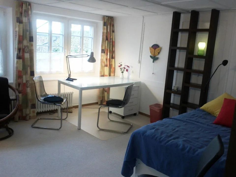 Gemütlich eingerichtetes Zimmer (17m2)