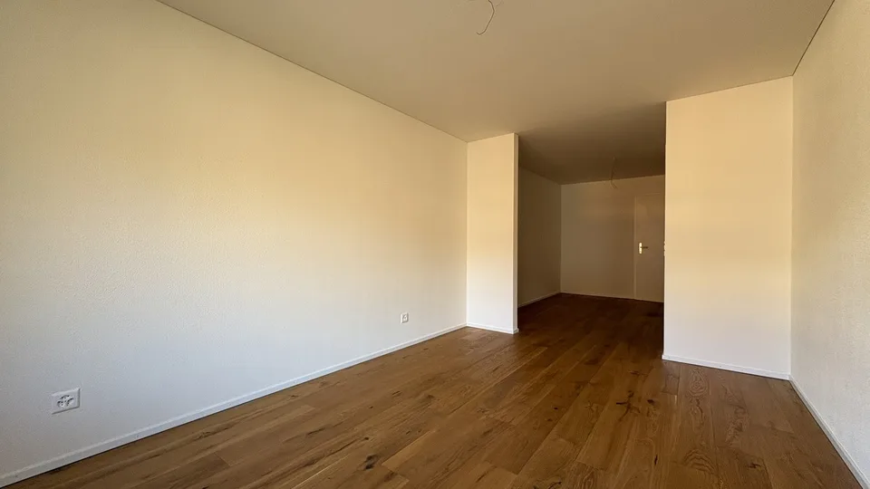 3.5 Zimmer Wohnung, 113 m2