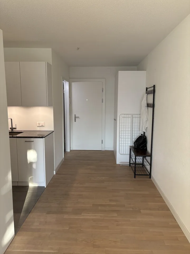 Modern 1.5-room apartment in central Bern