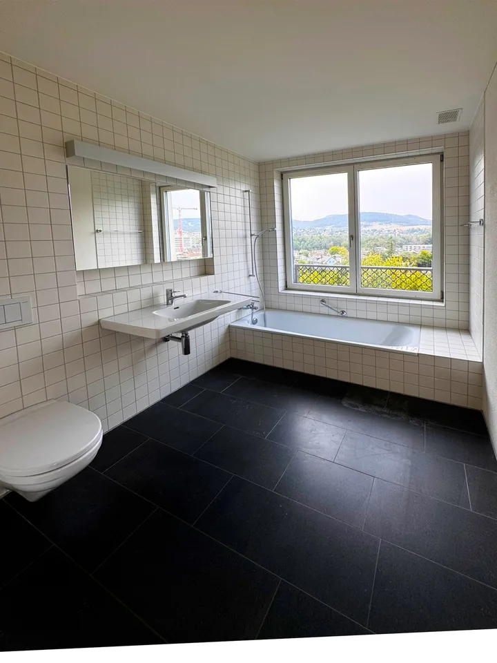 Exklusive 4.5-Zimmer-Attikawohnung an Toplage in Aarau – photo 7 sur 16