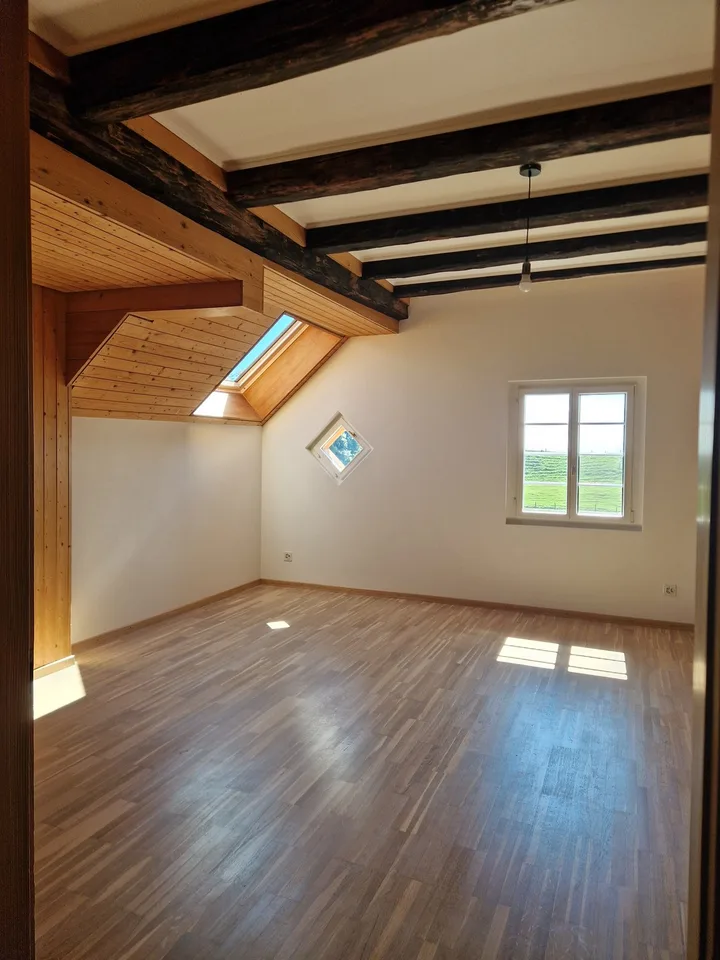3er WG in liebevoll renoviertem historischem Haus in Hausen am Albis