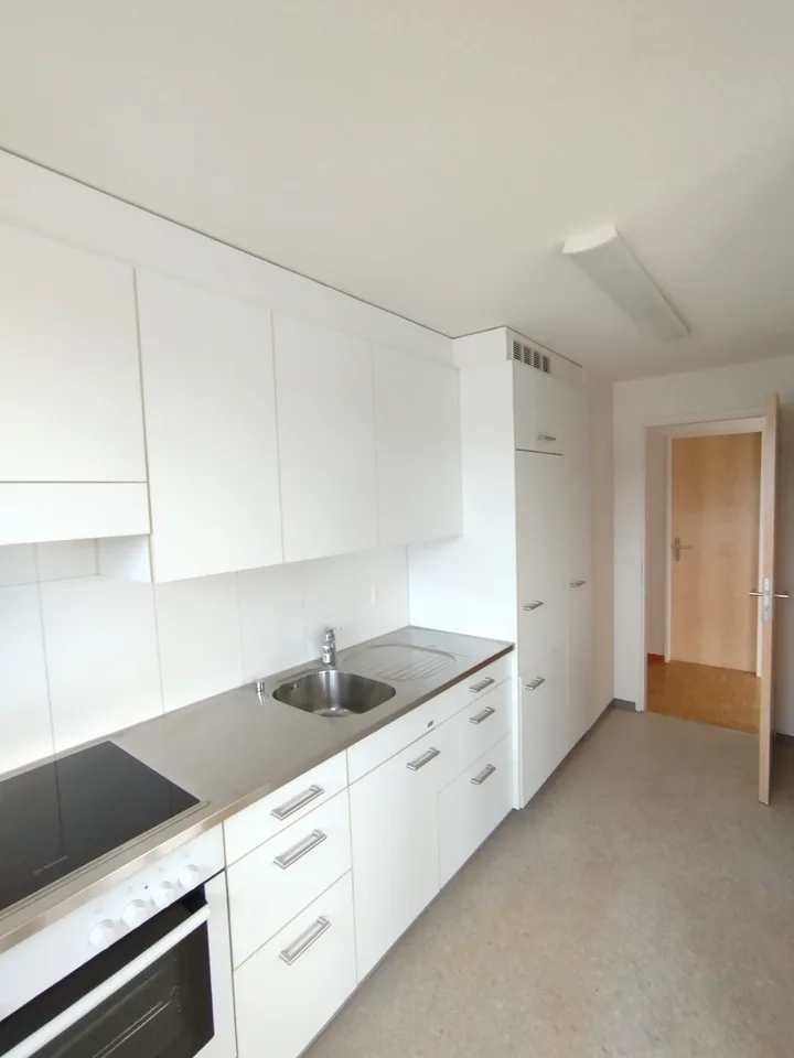 schöne helle 3 1/2 Zimmer Wohnung 12.Stock