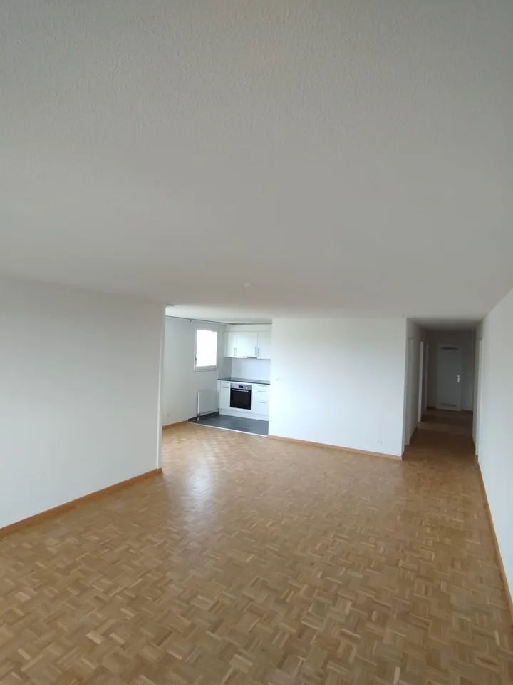 schöne helle 3 1/2 Zimmer Wohnung 12.Stock