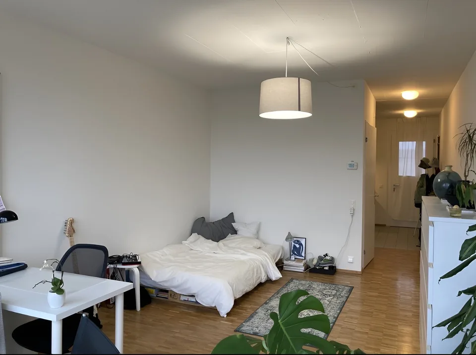 1,5 Zimmer Studio