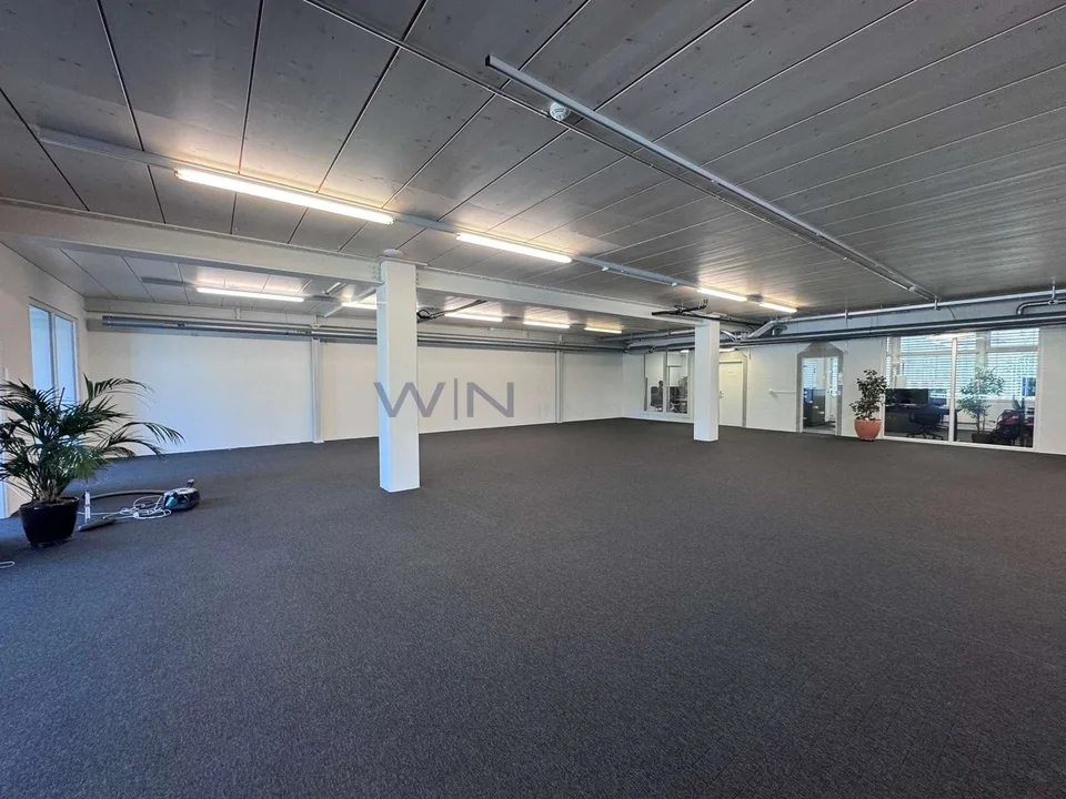 Steuern sparen & durchstarten: Top-Büro + Showroom