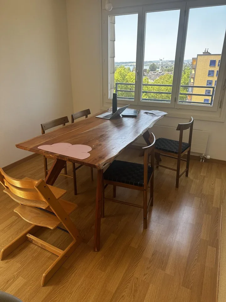 Zimmer: grosse zentrale ruhige Attikawohnung mit Seeblick