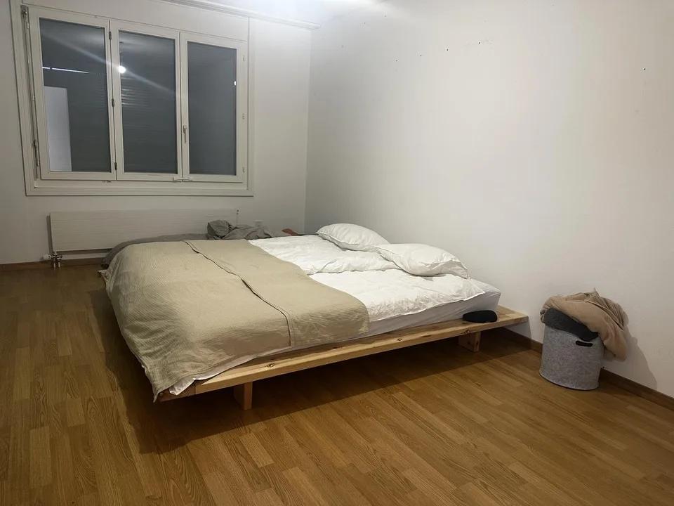 Zimmer: grosse zentrale ruhige Attikawohnung mit Seeblick