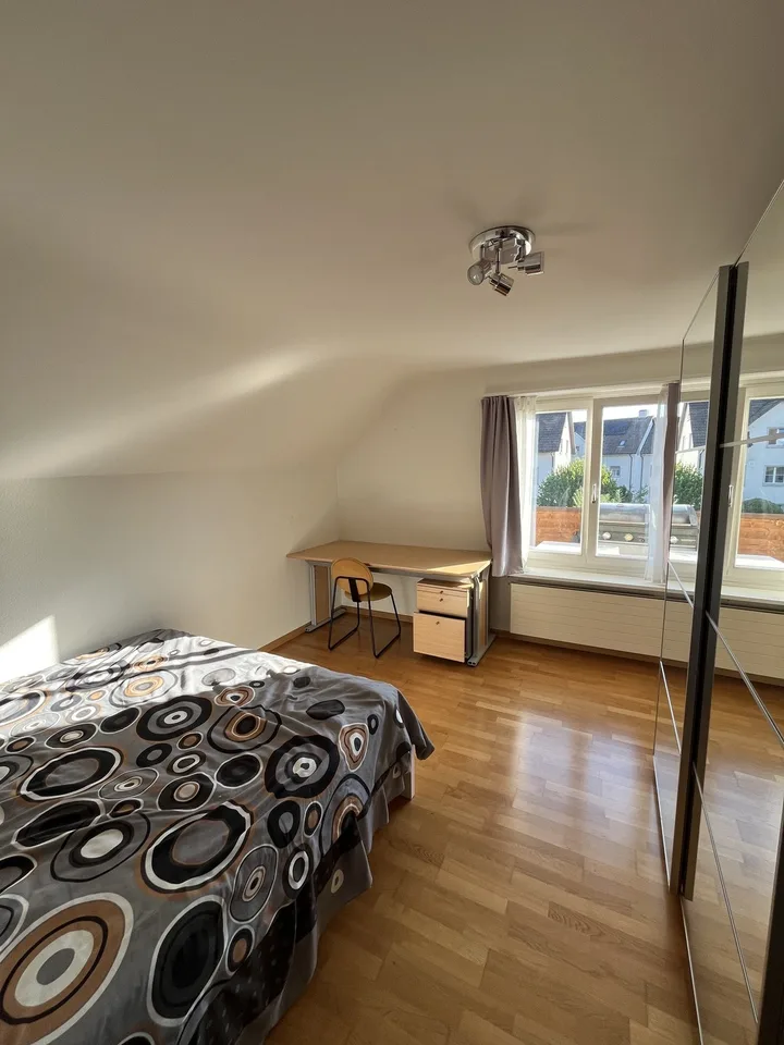 Room in a Spacious Apartment in Zurich – Available for 4 to 6 Months