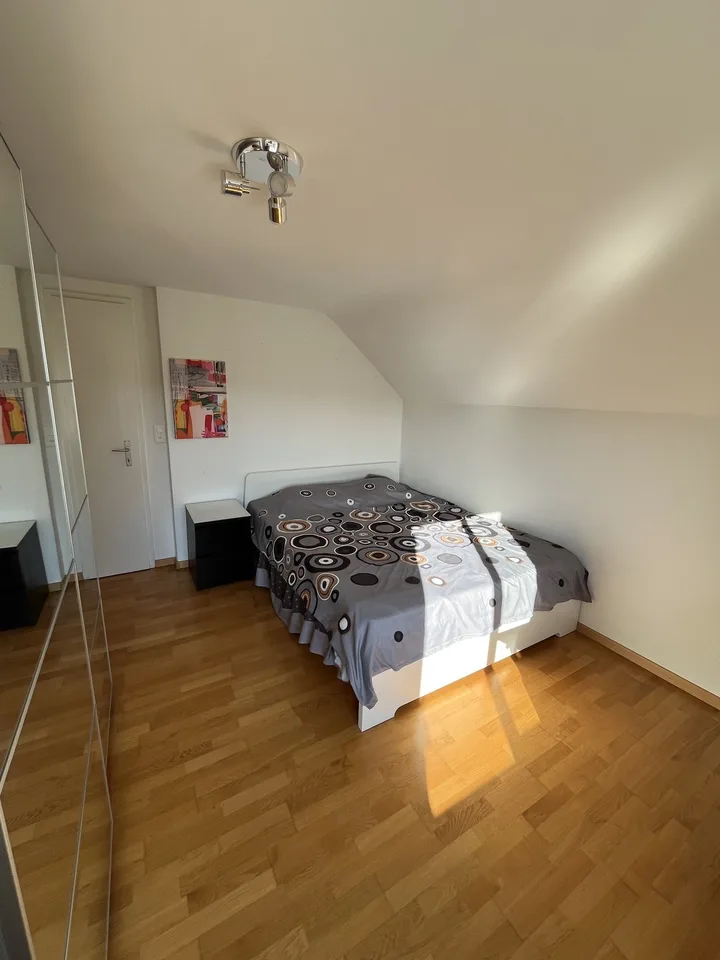 Room in a Spacious Apartment in Zurich – Available for 4 to 6 Months