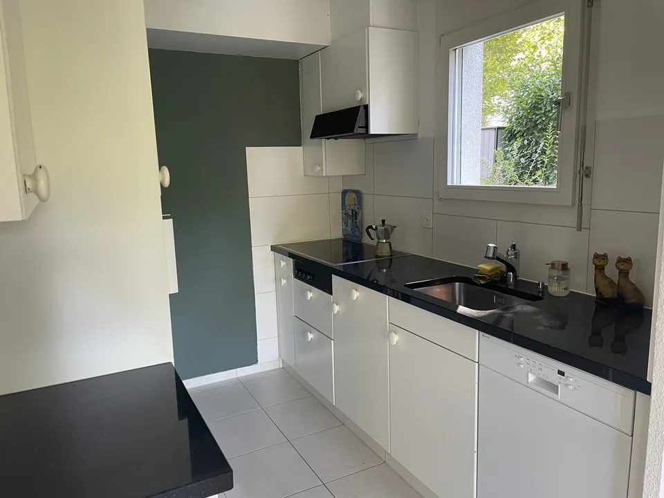 Cheminée, Badewanne mit Fenster, Terrasse & Garten in Küsnacht