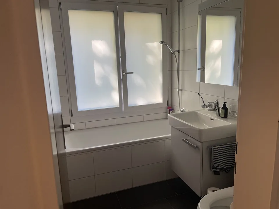 Cheminée, Badewanne mit Fenster, Terrasse & Garten in Küsnacht