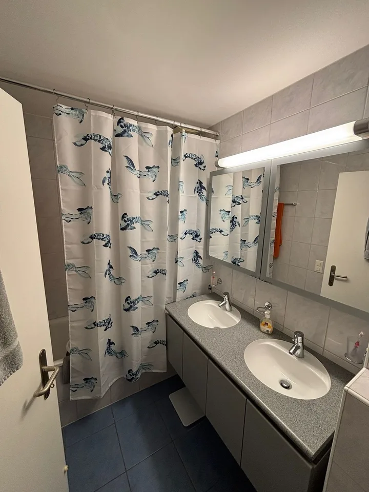 3 1/2 Zimmer Wohnung zu vermieten