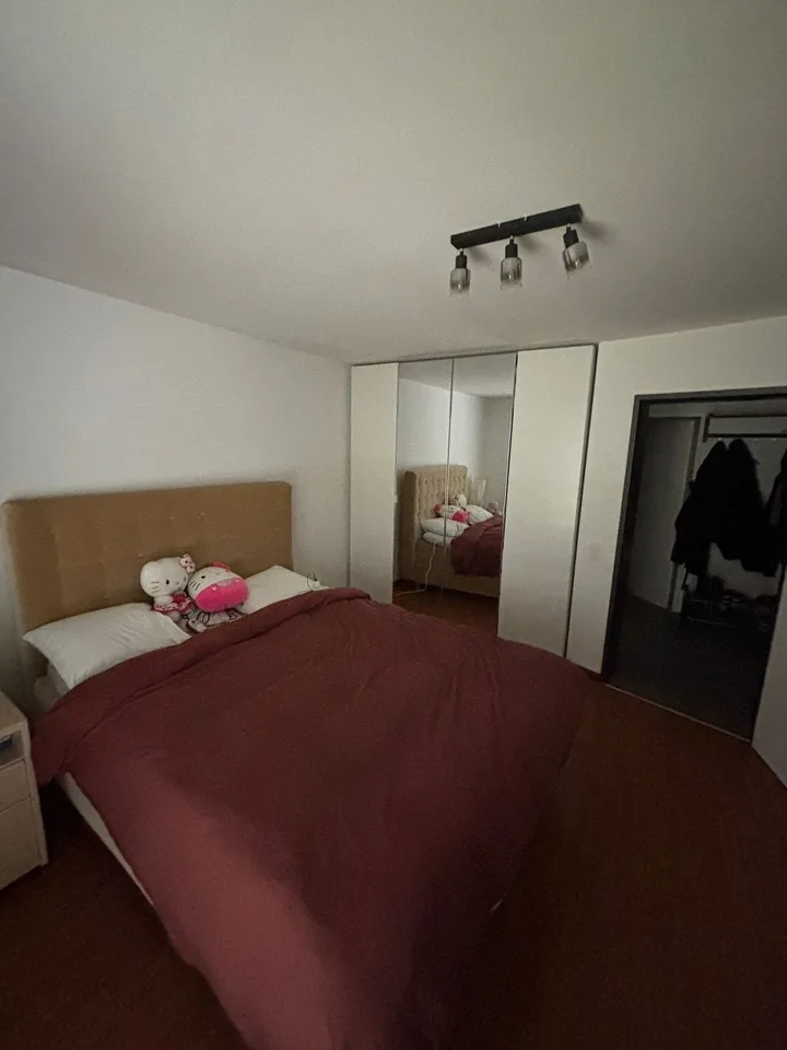 3 1/2 Zimmer Wohnung zu vermieten